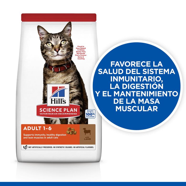 Hill's Science Plan Adult Cordero pienso para gatos, , large image number null